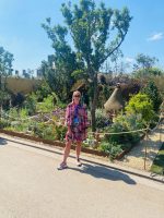 Panel Leader for Assessing Trade Stands at RHS Chelsea Flower Show