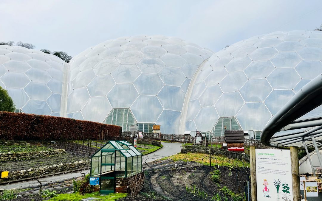 Bespoke In Person Visual Merchandising Training at The Eden Project Cornwall