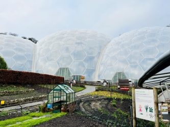 Bespoke In Person Visual Merchandising Training at The Eden Project Cornwall